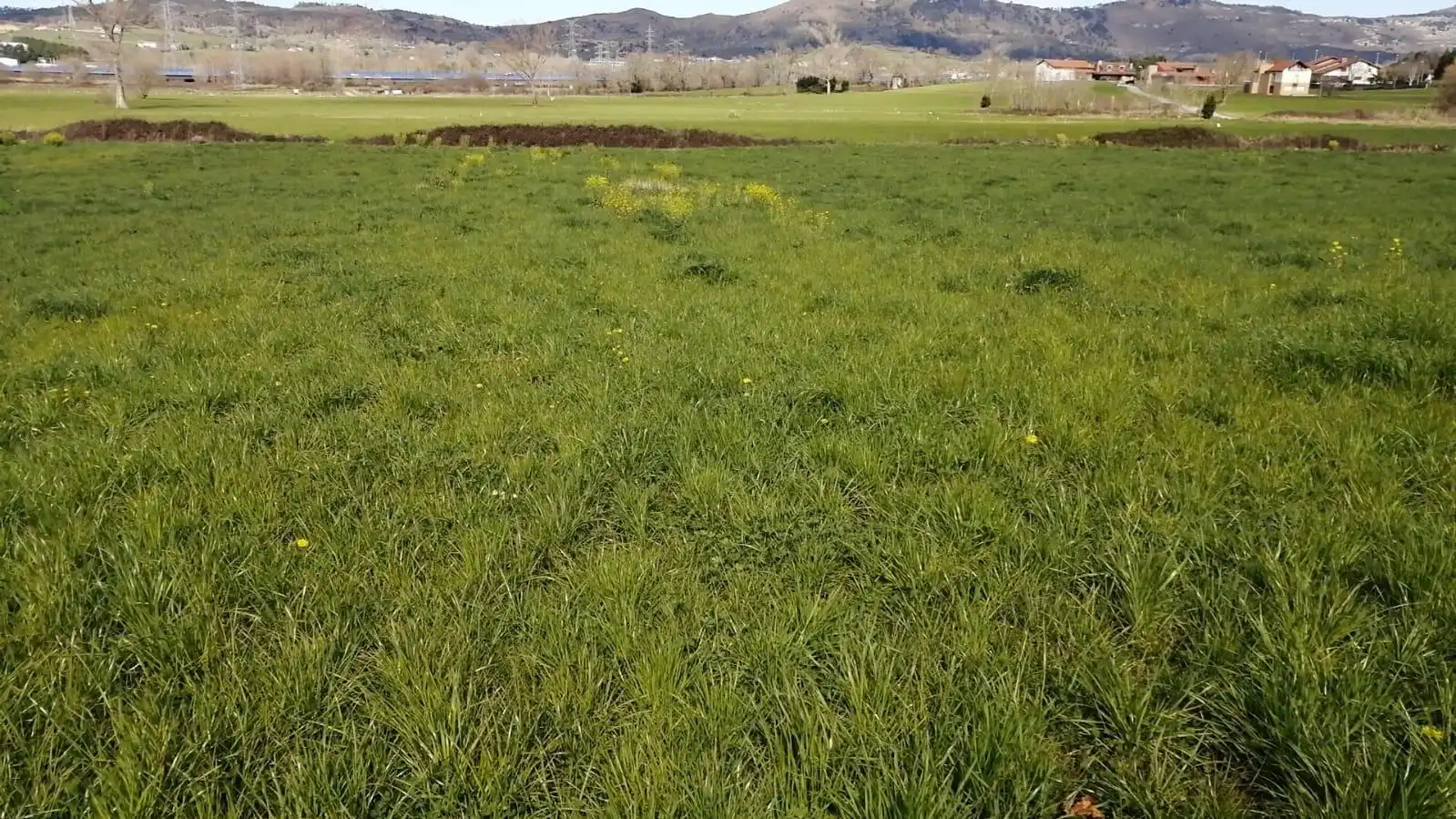 Grundstücke und Bauplätze zum Verkauf in Penagos, imagen 3