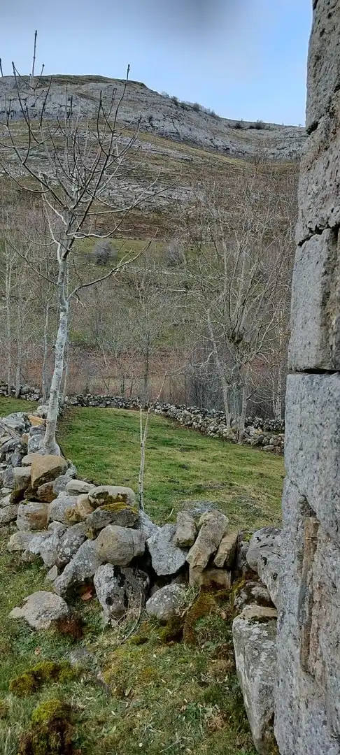 Finca rústica en venda en Espinosa de los Monteros amb Jardí privat