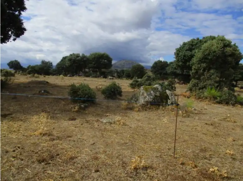 Land for sale in Puente del Congosto