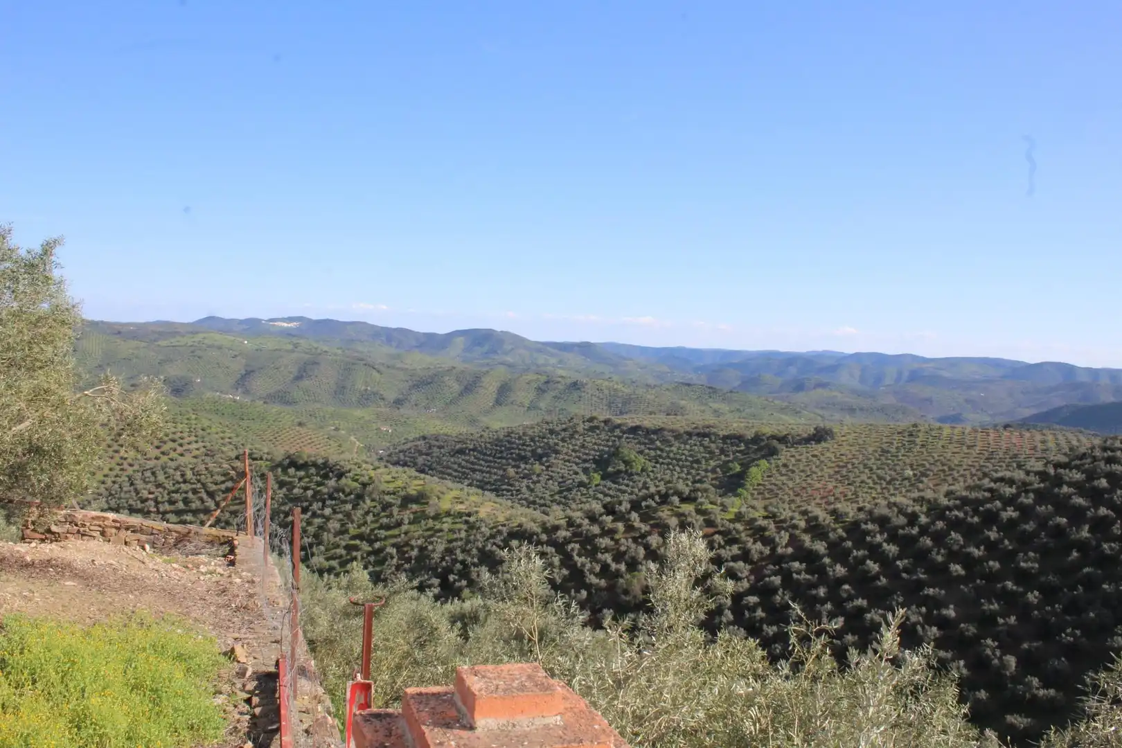 Jardí de Finca rústica en venda en Alcaracejos amb Traster i Piscina