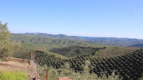 Foto 4 de Finca rústica en venda a Alcaracejos, Córdoba