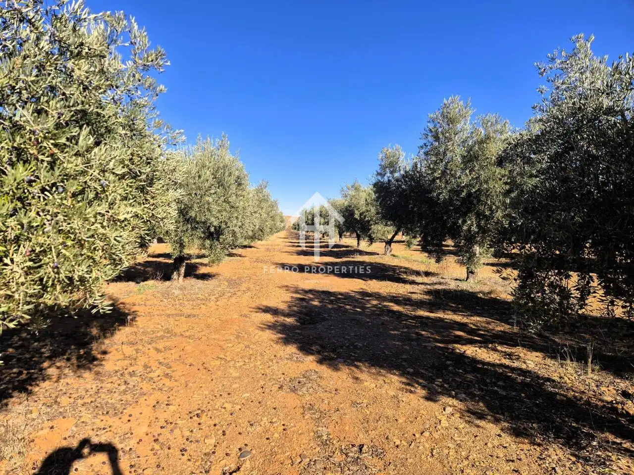 Lands and plots for sale in Lanteira, imagen 29