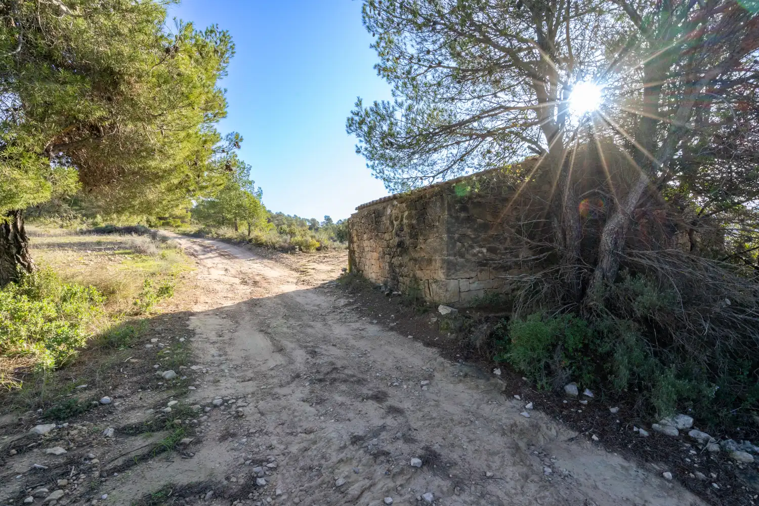 Rural land for sale in Plaça de l'Esglesia 4, imagen 3