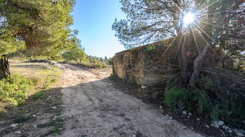 Finca rústica con bonitas vistas y una casa de aperos, immagine 3