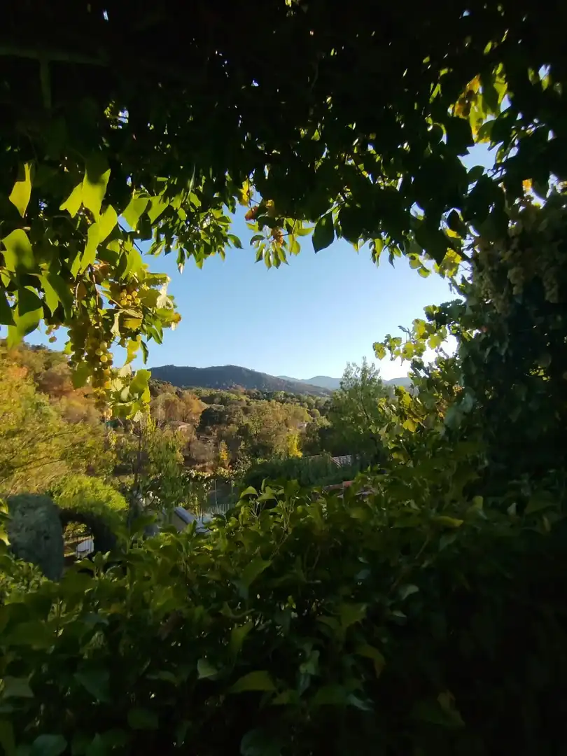 Casa amb jardí en venda a Burgohondo, imagen 5