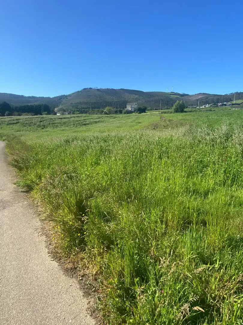 Terreno residencial en venta en Coaña, imagen 2