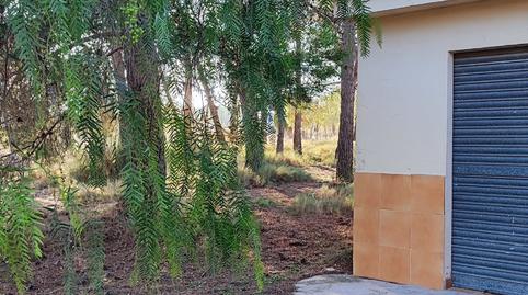 Foto 4 de Finca rústica en venda a Monóvar  / Monòver, Alicante