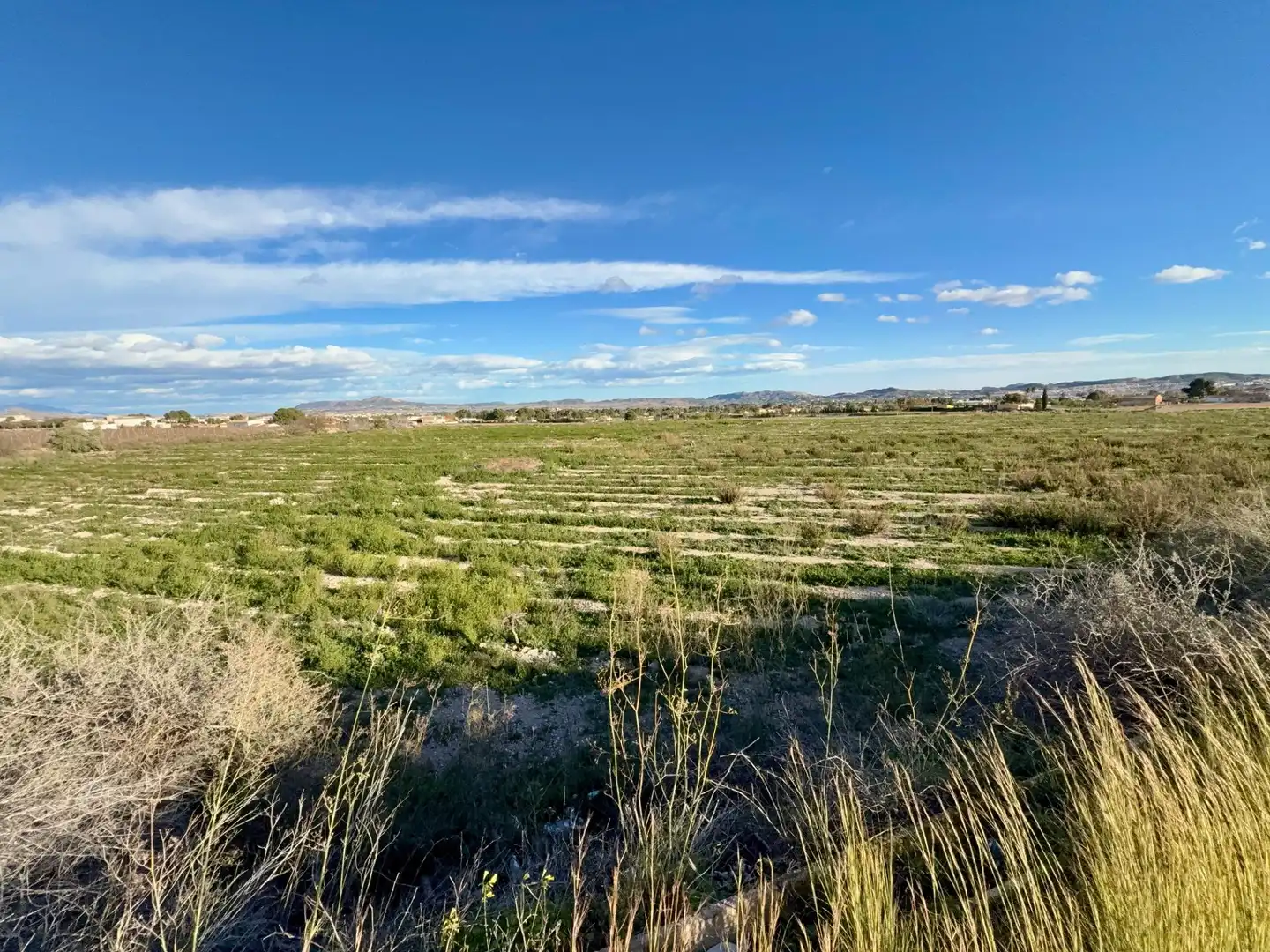 Rural land for sale in Novelda, imagen 4