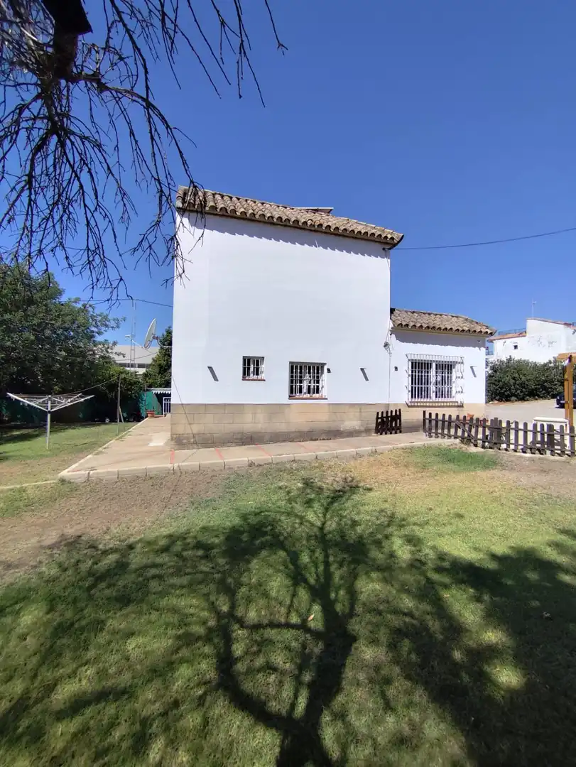 Jardí de Casa o xalet en venda en Arcos de la Frontera amb Terrassa