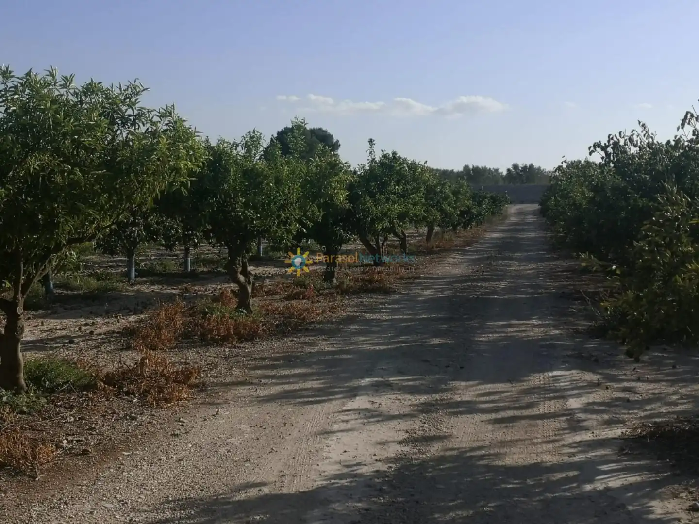 Finca rústica en venta en Albaida con Jardín privado y Trastero