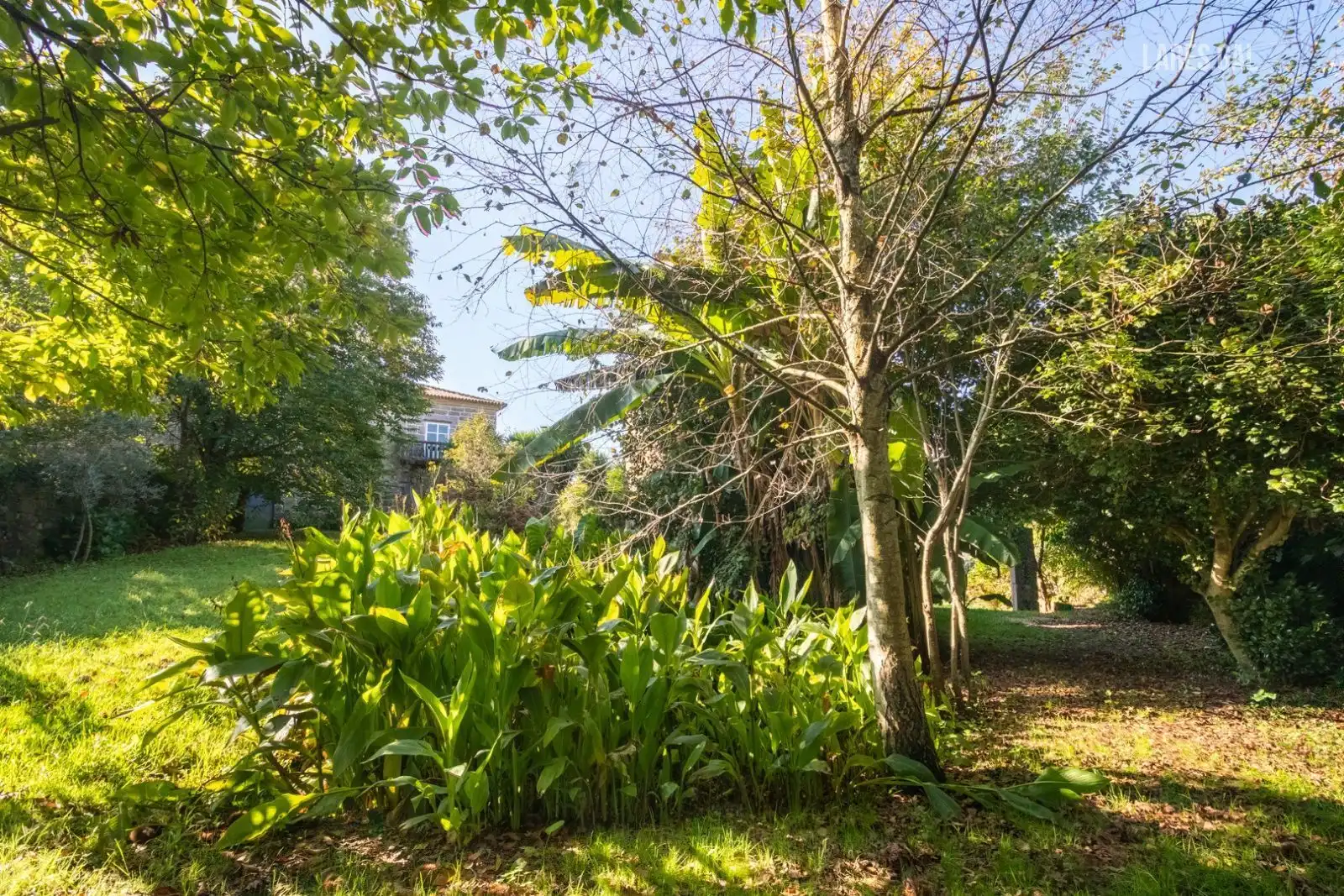Jardín de Edificio en venta en Cangas 