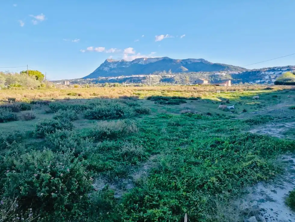 Villa avec jardin à vendre à El Puerto, imagen 11