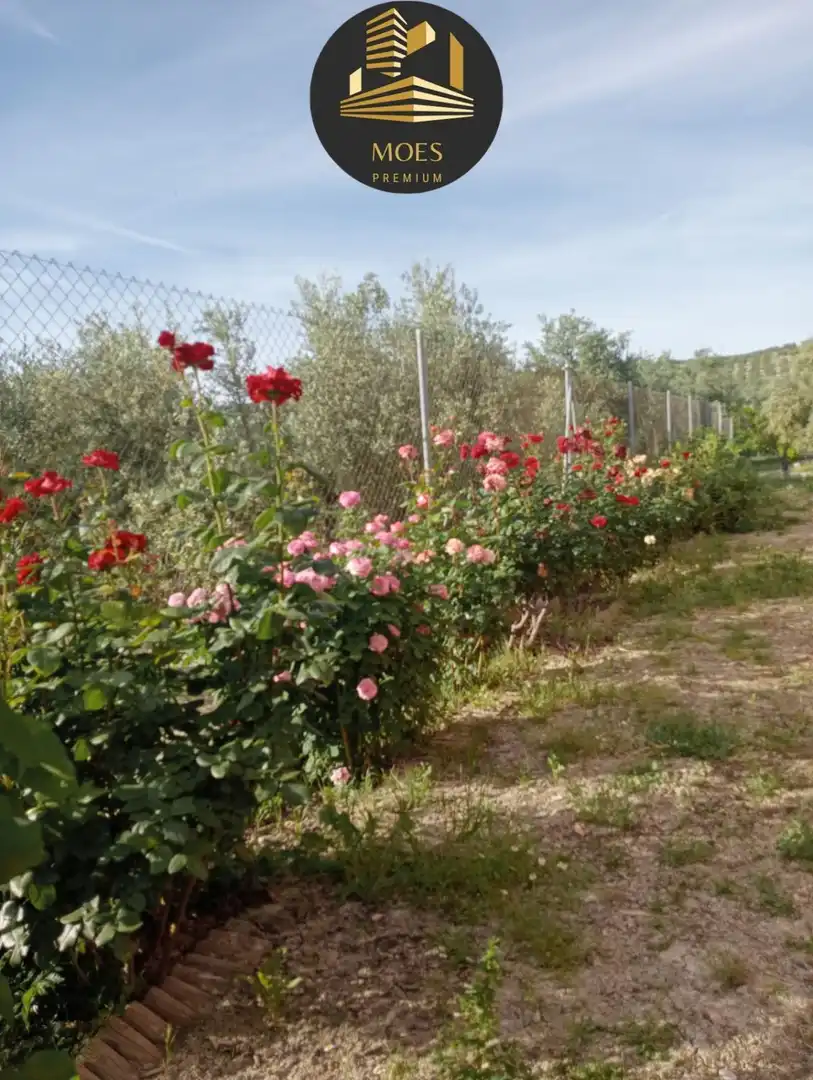Villa zum Verkauf in Begíjar, imagen 48