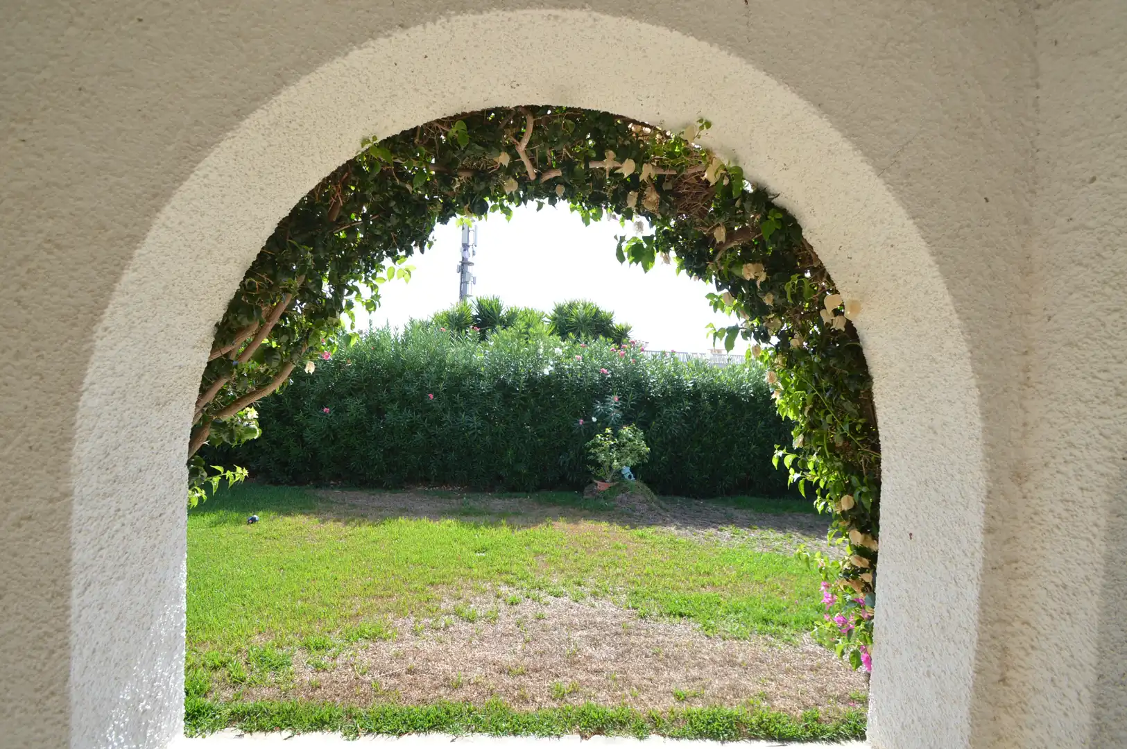 Garden of Houses for sale in Vinaròs  with Private garden, Terrace and Swimming Pool
