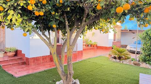 Foto 5 de Casa o chalet en venta en Las Lagunas - Campano, Cádiz