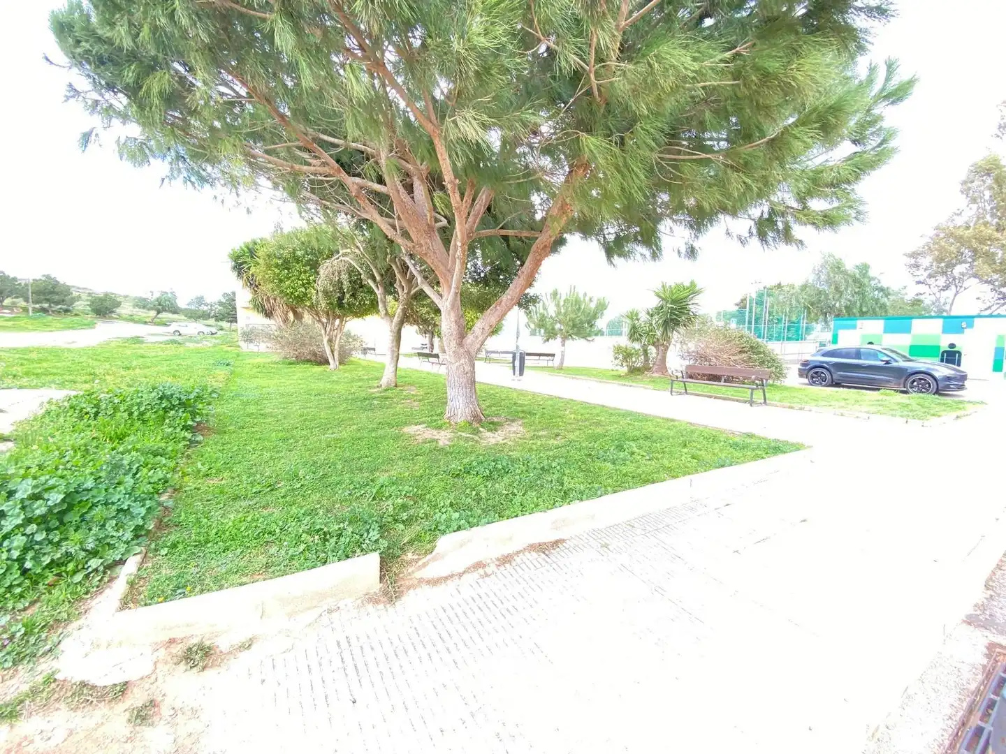 Vista exterior de Casa o xalet en venda en Cartagena amb Aire condicionat i Jardí privat