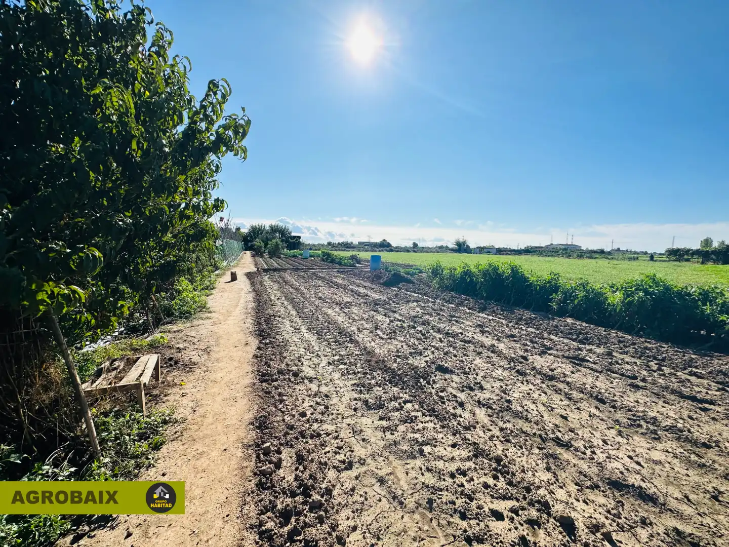 Rural land for sale in Torrent Ballester, imagen 2