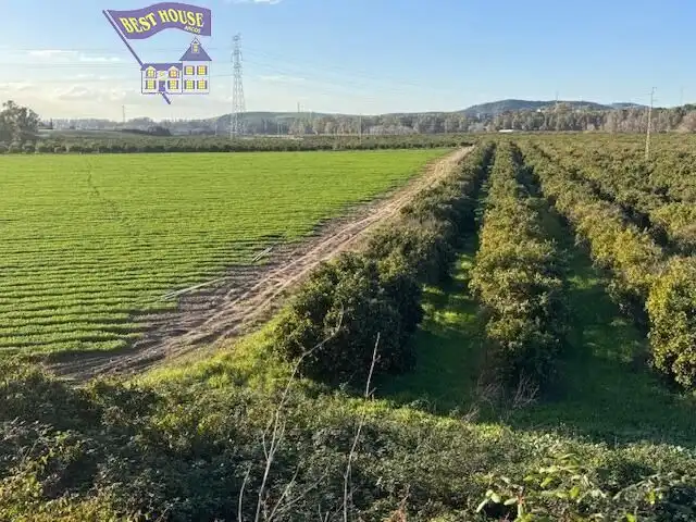 Terreny rústic en venda a Arcos de la Frontera, imagen 2