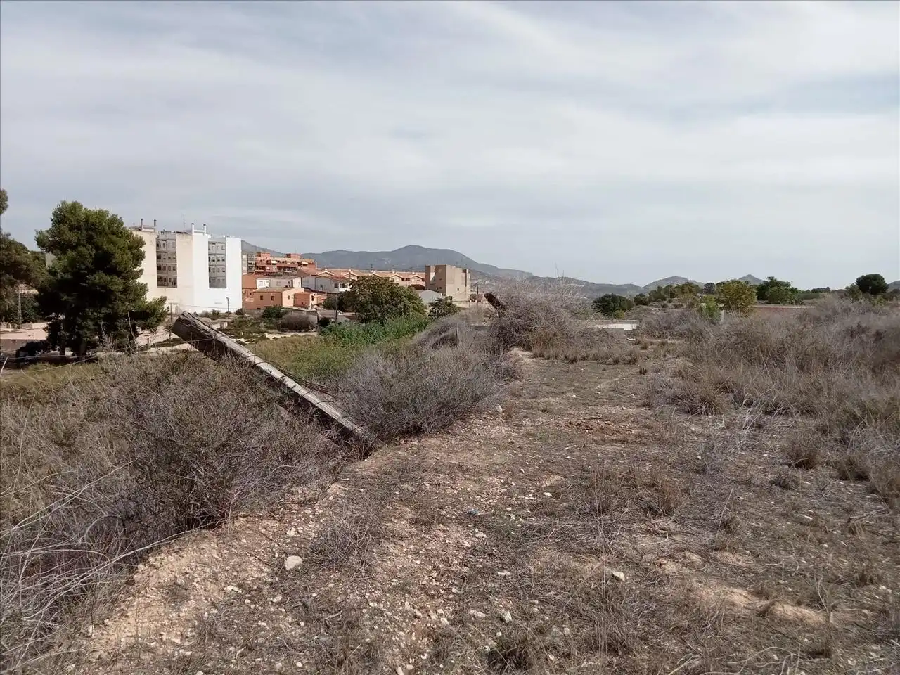 Terreny rústic en venda a Proc. Simplificado, 0002, imagen 19