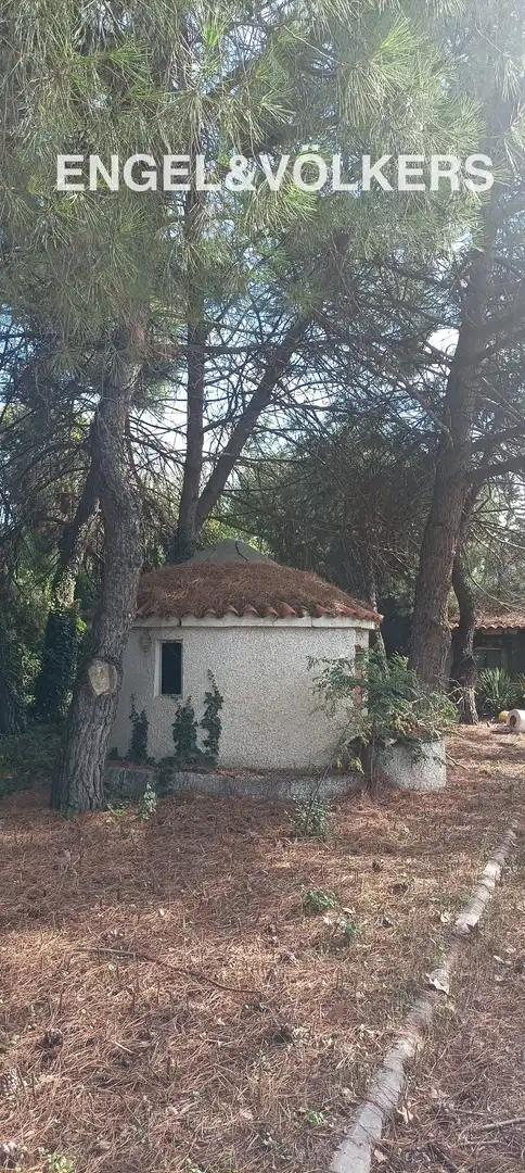 Jardín de Casa o chalet en venta en Fuente El Saz de Jarama