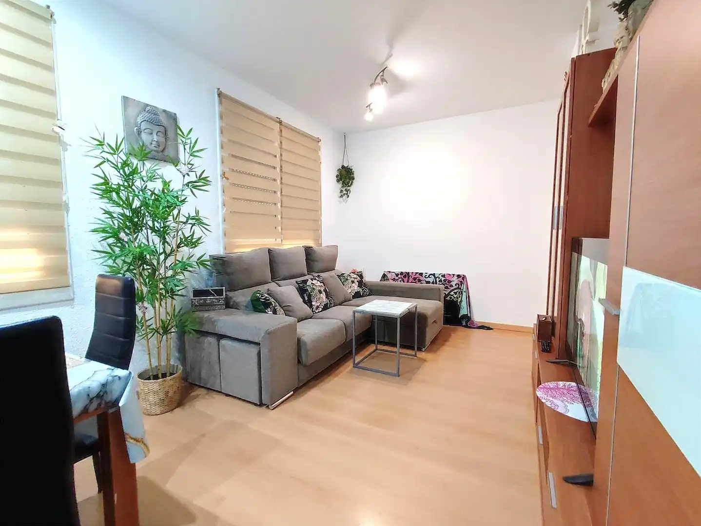 Sala d'estar de Pis en venda en Calella amb Aire condicionat i Parquet