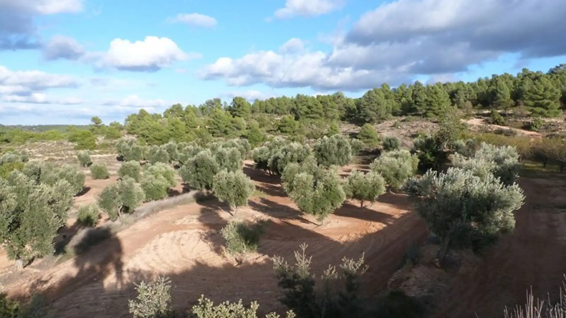 Finca rústica en venta en Valjunquera