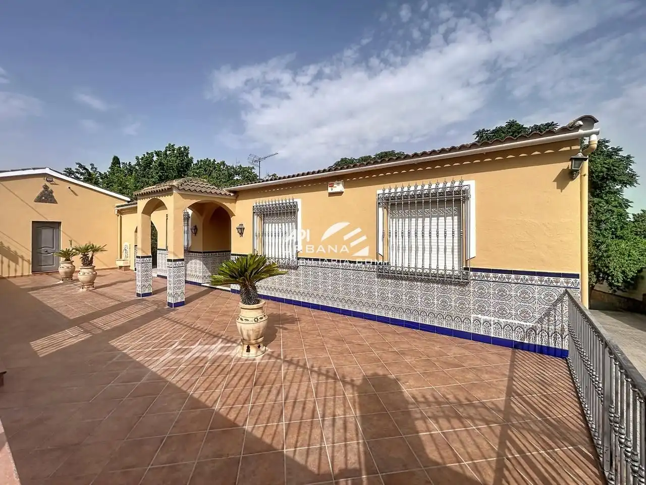 Vista exterior de Casa o chalet en venta en Lucena con Aire acondicionado, Jardín privado y Terraza