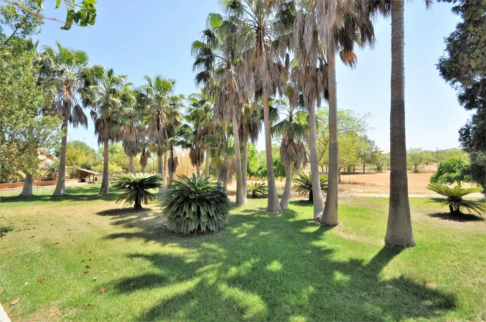 Maison rustique avec piscine à vendre à Sencelles, imagen 16