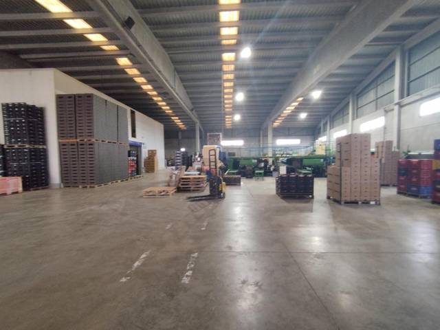 Local comercial en Alquiler en Massamagrell