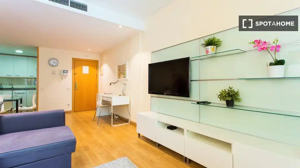 Living room of Study for share in Sant Martí