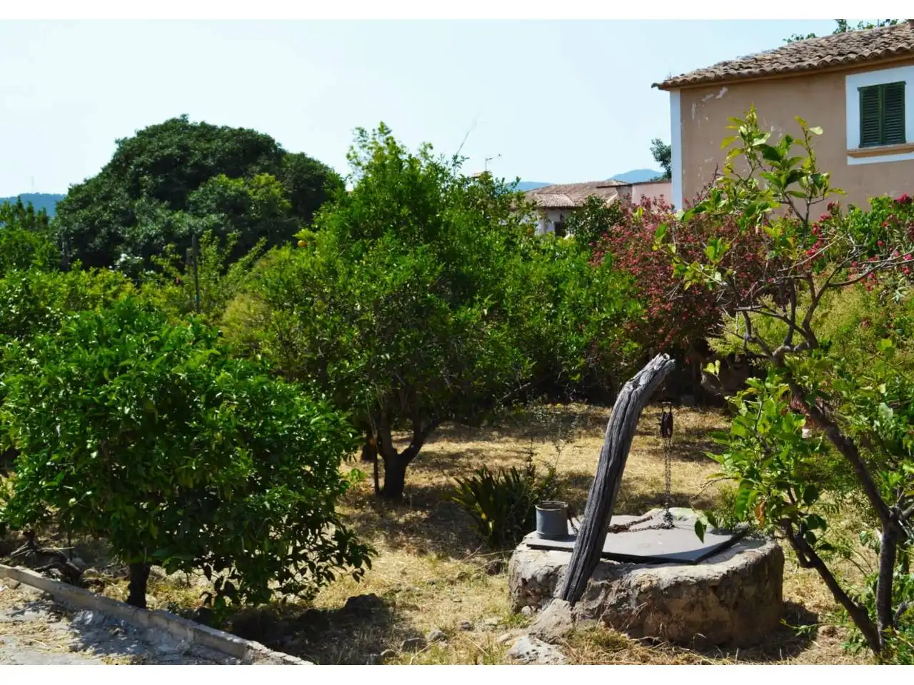 Jardín de Casa o chalet en venta en  Palma de Mallorca con Jardín privado y Terraza