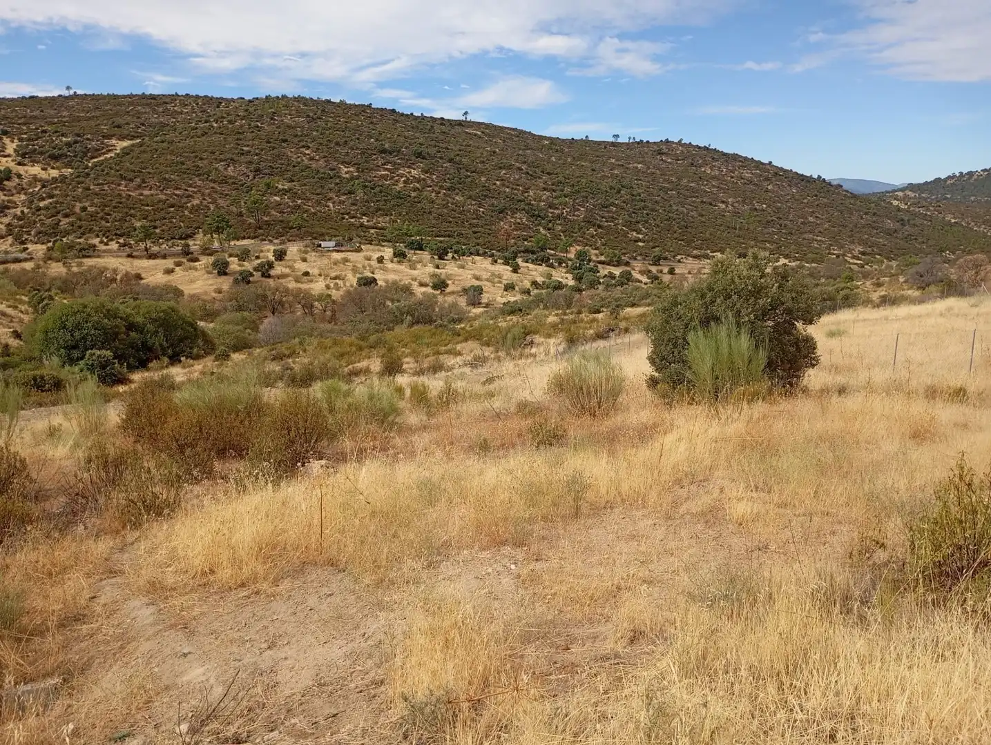 Terrenos y solares en venta en Robledo de Chavela, imagen 13