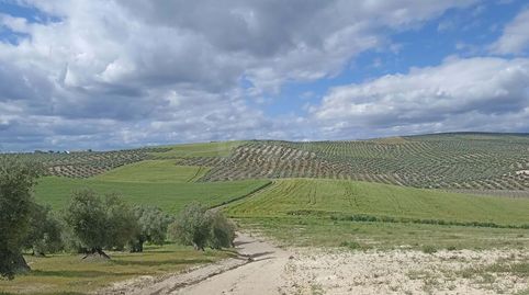 Foto 4 de Finca rústica en venda a Santiago de Calatrava, Jaén