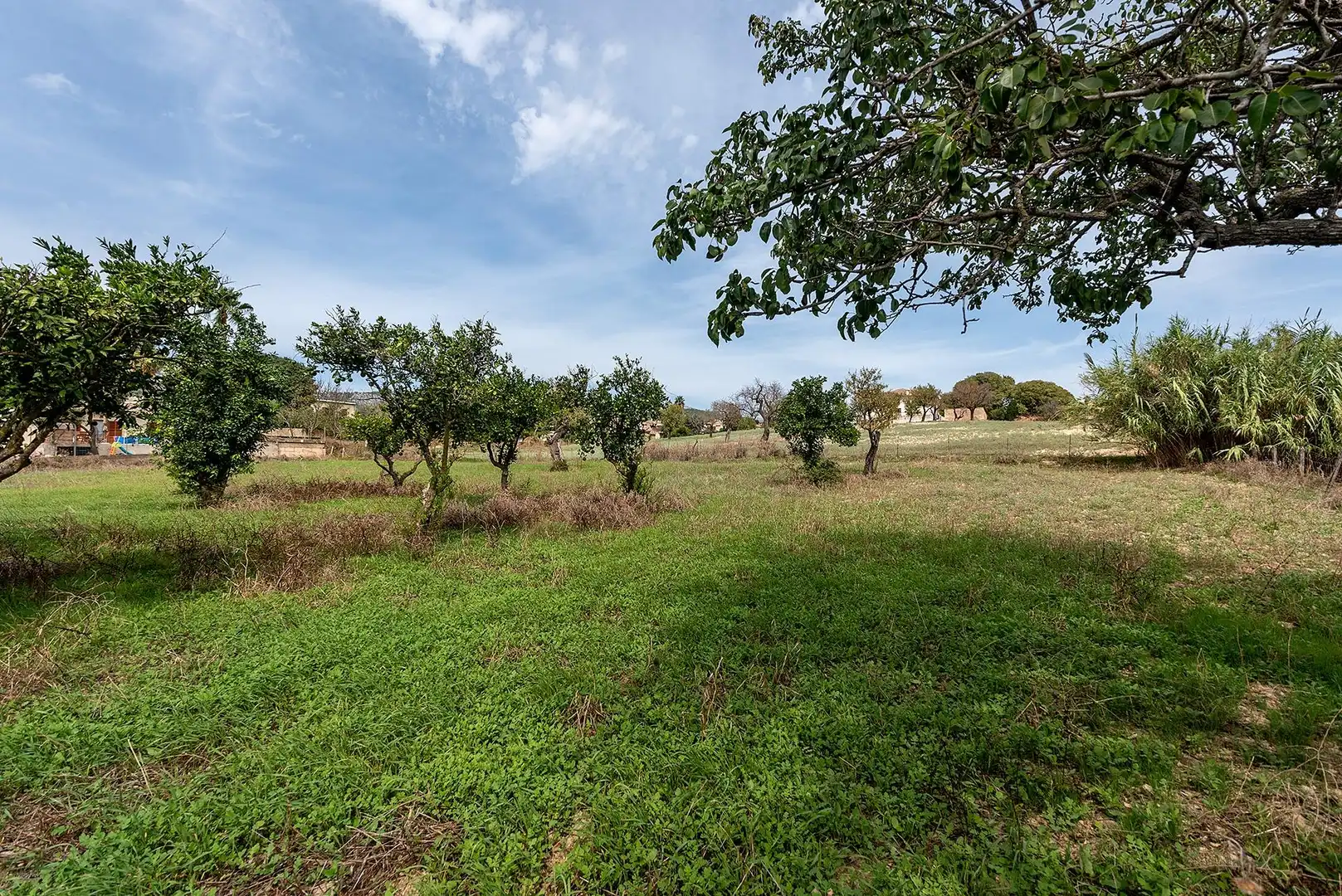 Country homes for sale in Campanet  with Private garden