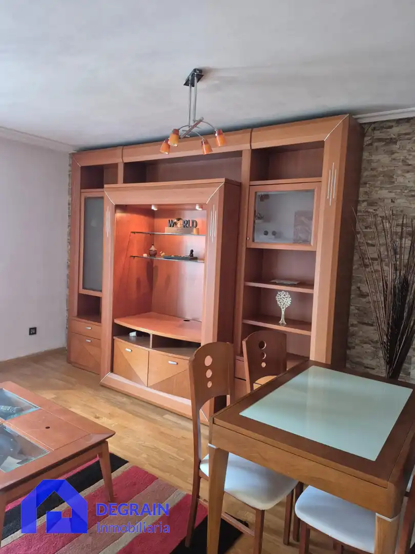 Sala d'estar de Pis de lloguer en Oviedo  amb Calefacció, Terrassa i Traster