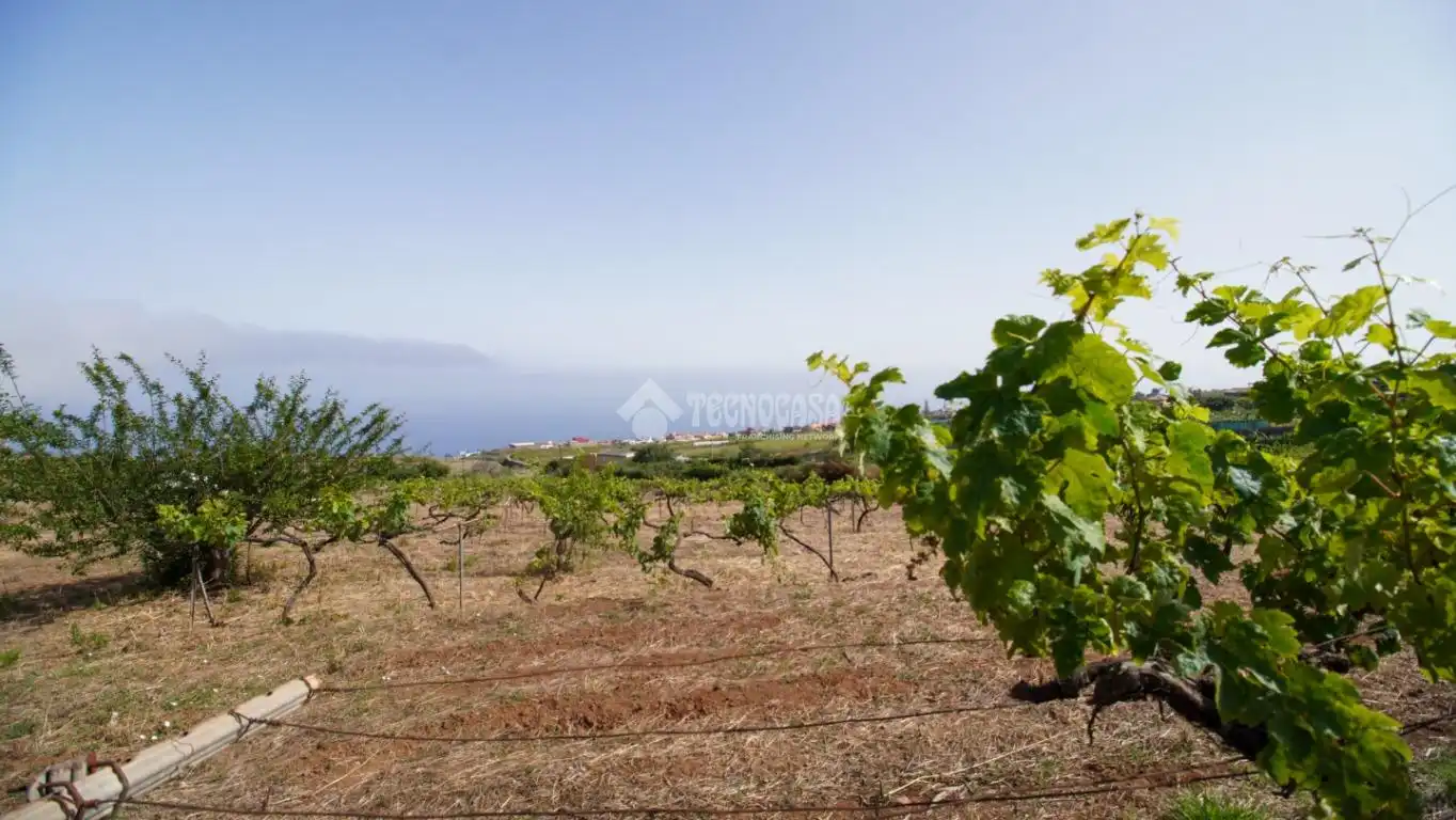 Finca rústica en venta en El Sauzal