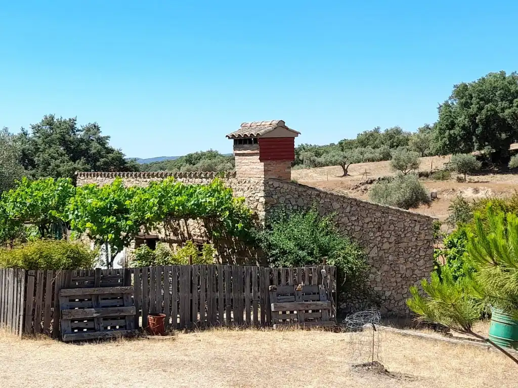 Jardí de Casa o xalet en venda en San Vicente de Alcántara