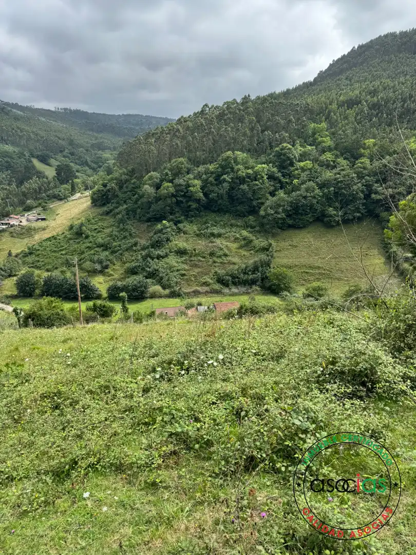 Terreny en venda en Villaviciosa