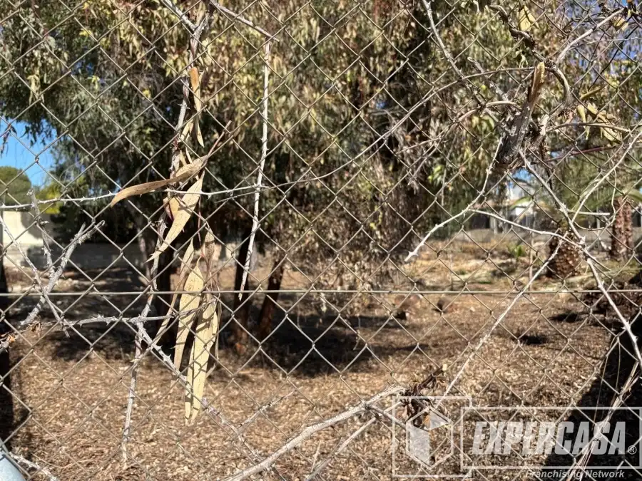 Lands and plots for sale in La Cañada, imagen 7