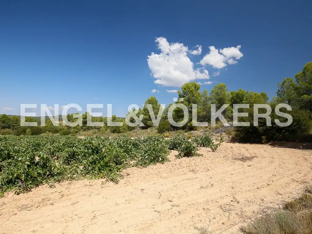 Finca rústica en venda a Requena