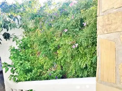 Xalet amb jardí en venda a La Herradura, imagen 12