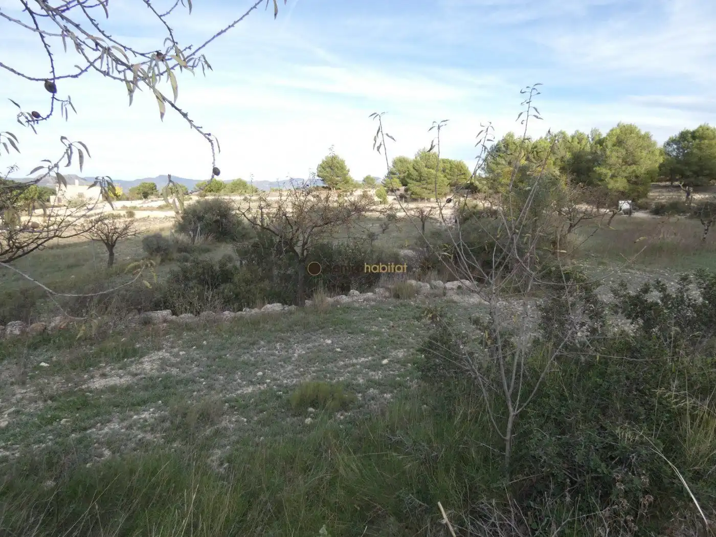 Residential land for sale in Monóvar  / Monòver, imagen 14