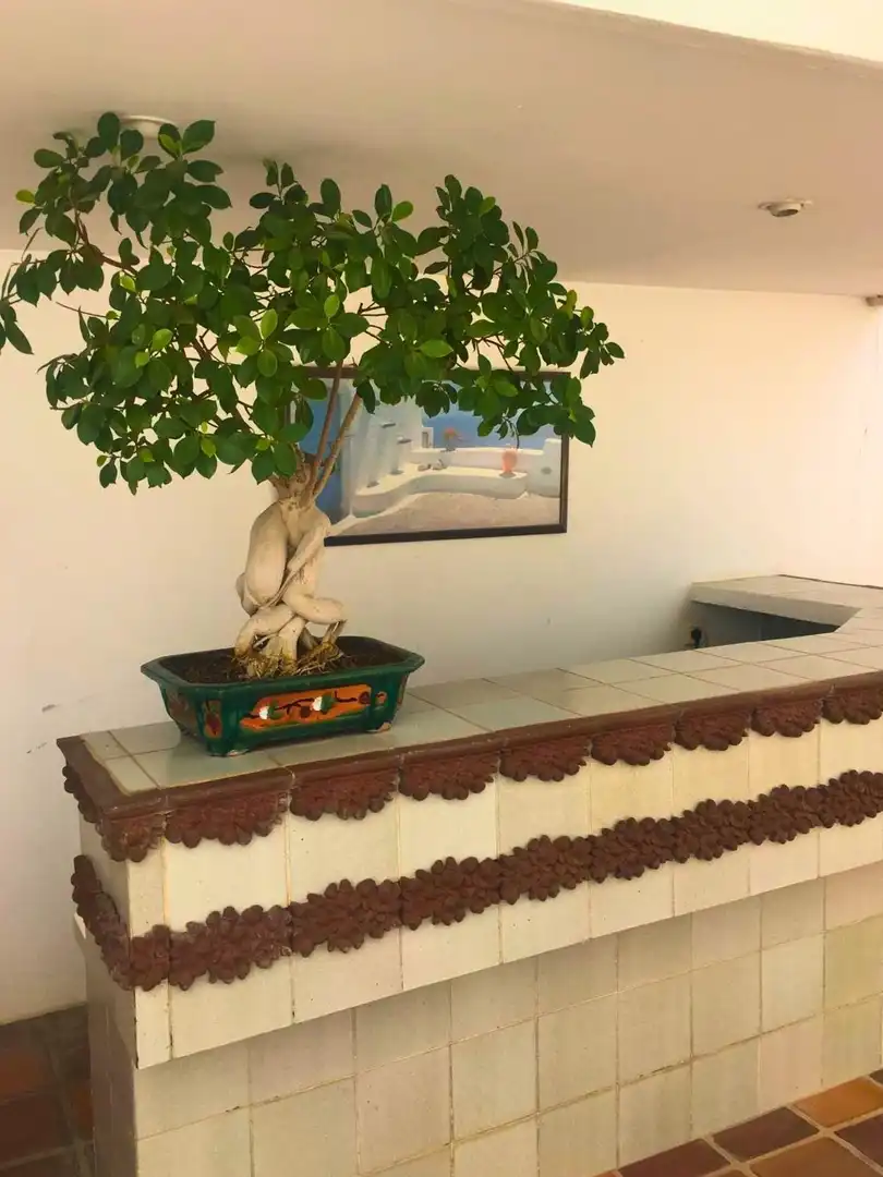 Jardín de Casa o chalet en venta en Villanueva del Arzobispo con Terraza