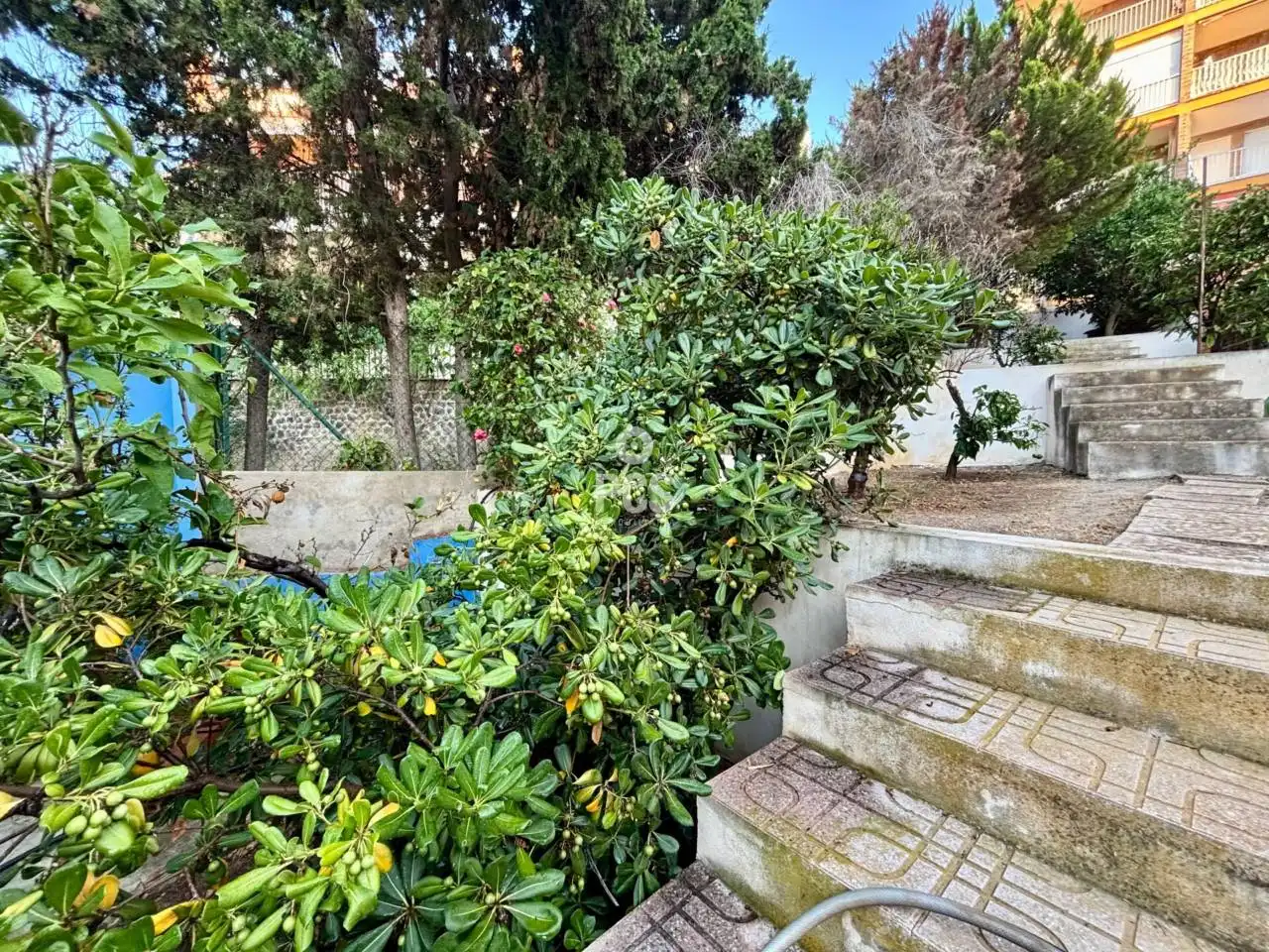 Jardín de Casa o chalet en venta en Mazarrón con Jardín privado y Terraza