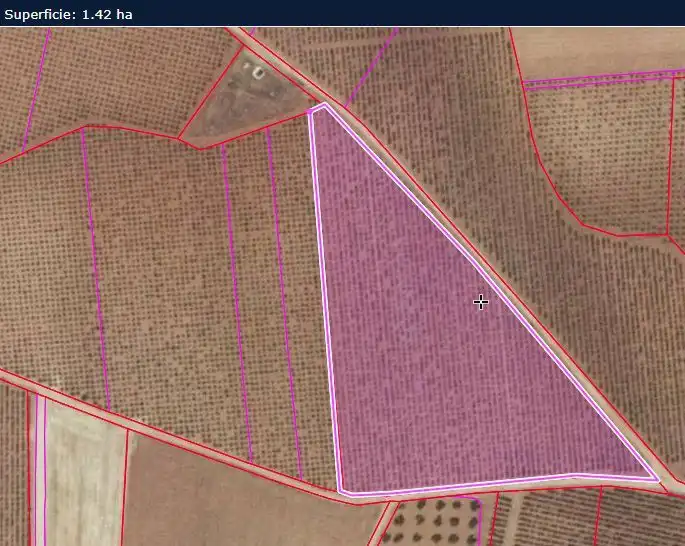 Rural land for sale in Valdepeñas, imagen 10