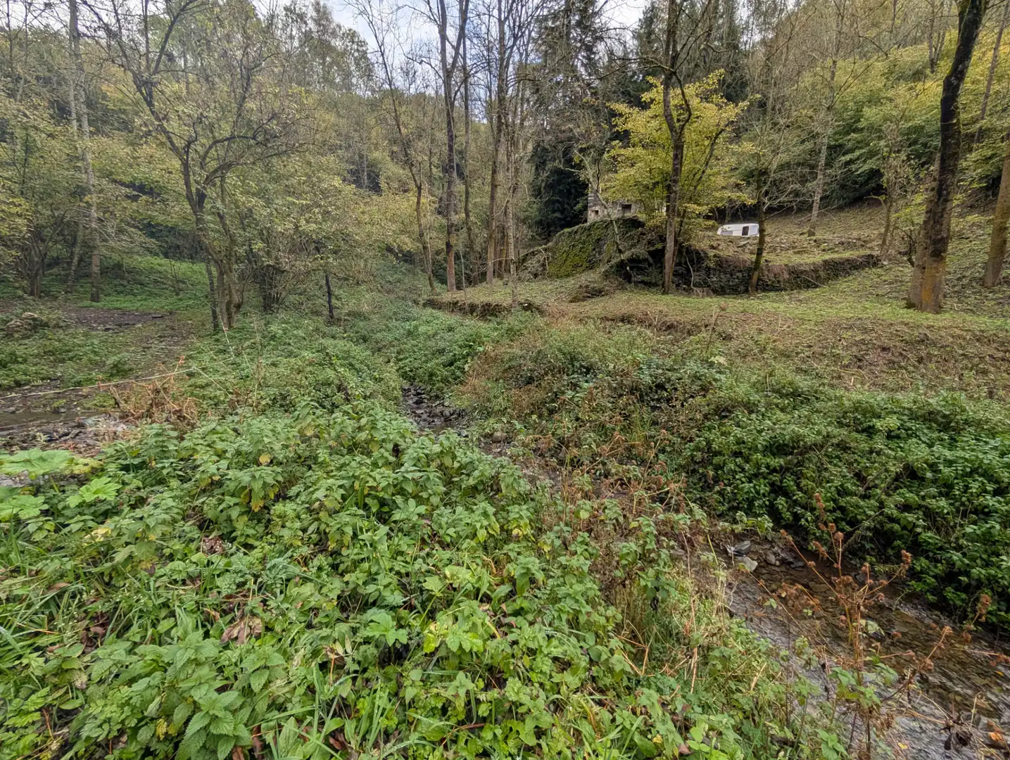 Land for sale in Molló