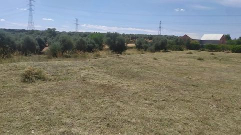 Foto 3 de Terreno en venta en Camino de Valdegorzas, Perlita, Arganda del Rey