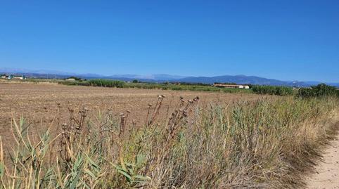 Foto 4 de Finca rústica en venda a La Pueblanueva, Toledo