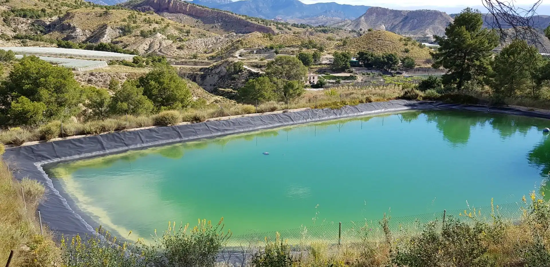 Piscina de Casa o chalet en venta en Aledo con Terraza y Trastero