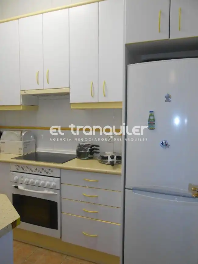Kitchen of Flat for rent in Madrid  with Parquet flooring, Terrace and Furnished